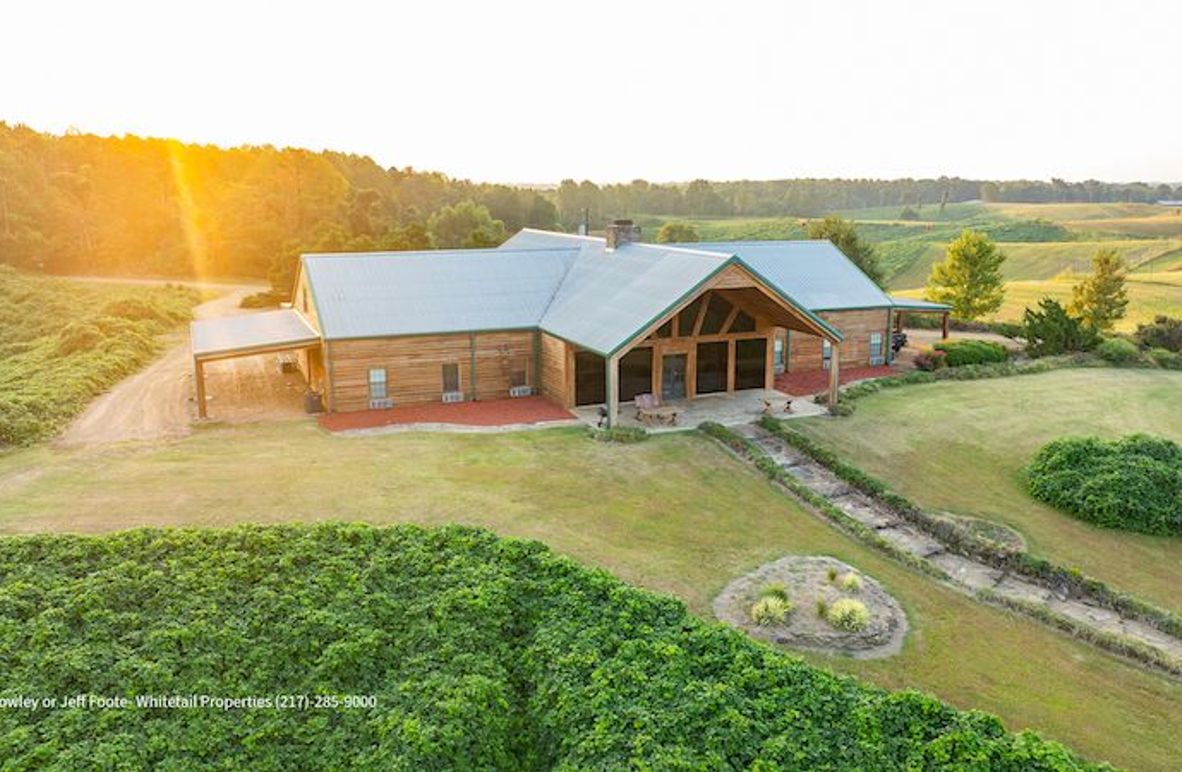 Tallahatchie 847 Messina-03