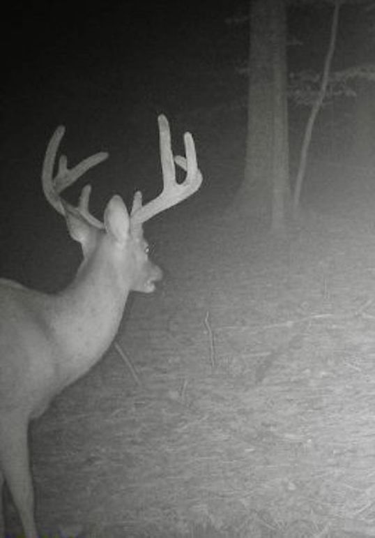 860322062455842-90-4-08212024053936-W1020179