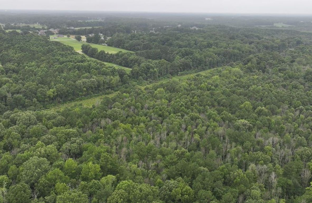 DJI_20250715003322_0170_D