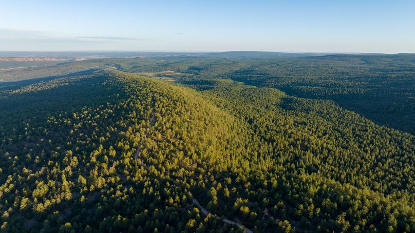 Cibola NM 13,053--114