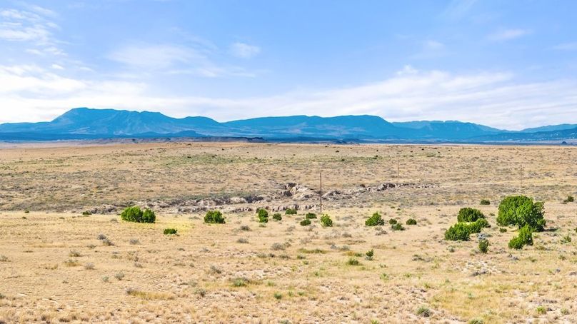 DJI_20251015124853_0157_D