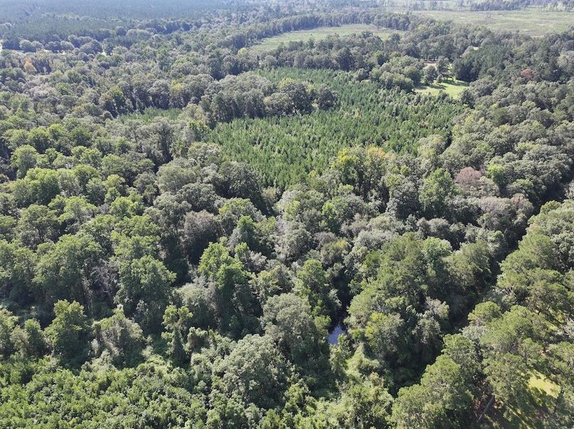 dji_fly_20250903_101908_0402_1757089040880_photo