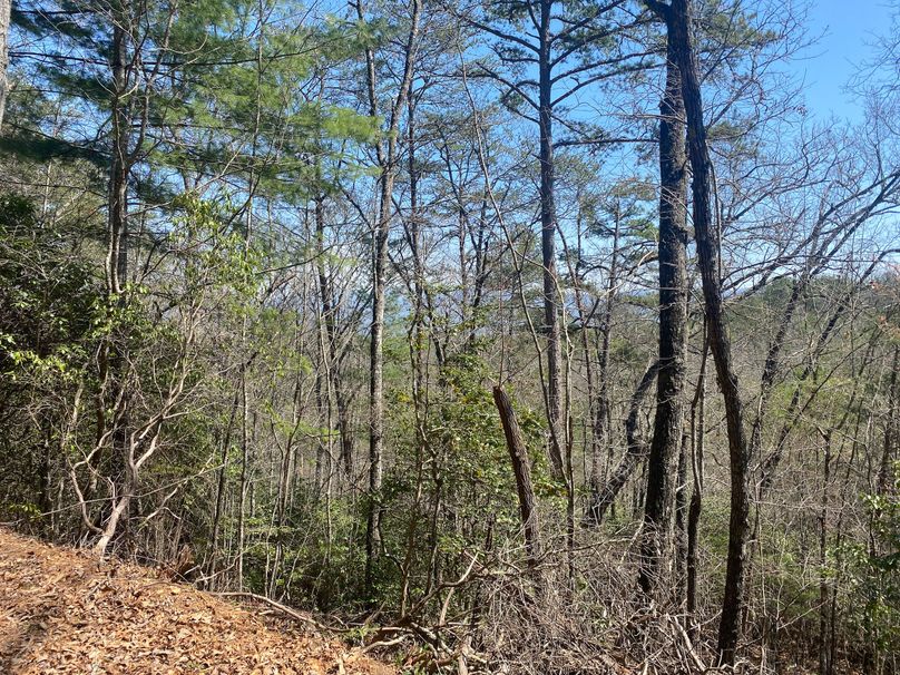 Cherokee 69.74 Stiles-16