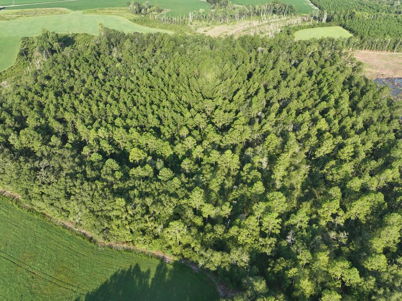 dji_fly_20230813_083746_531_1691930579266_photo