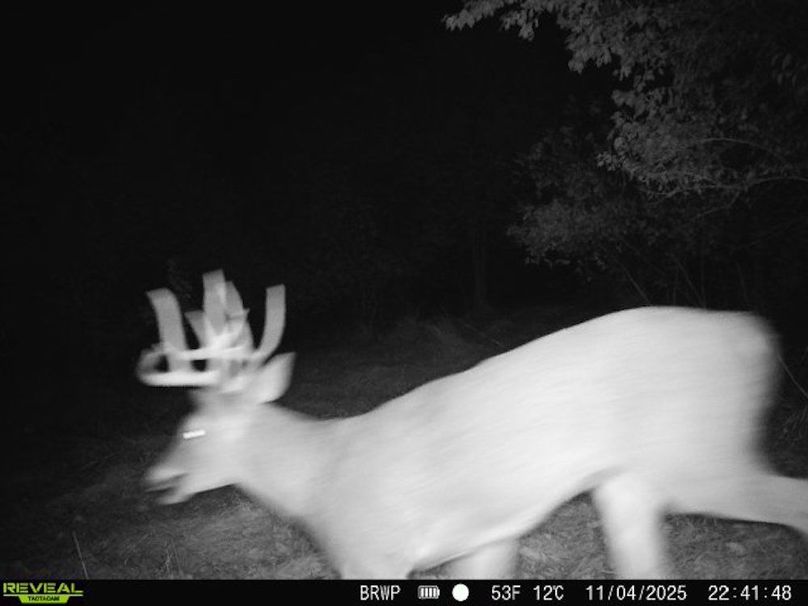 860322065924133-100-4-11042025224148-W1000561