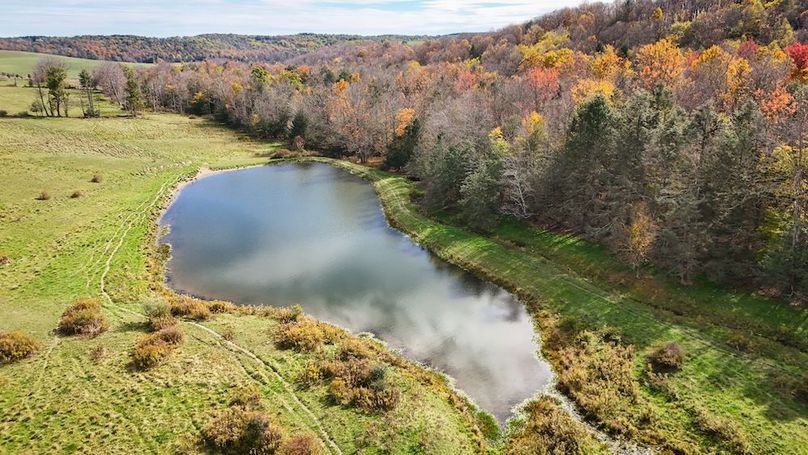 DJI_20251017124958_0706_D