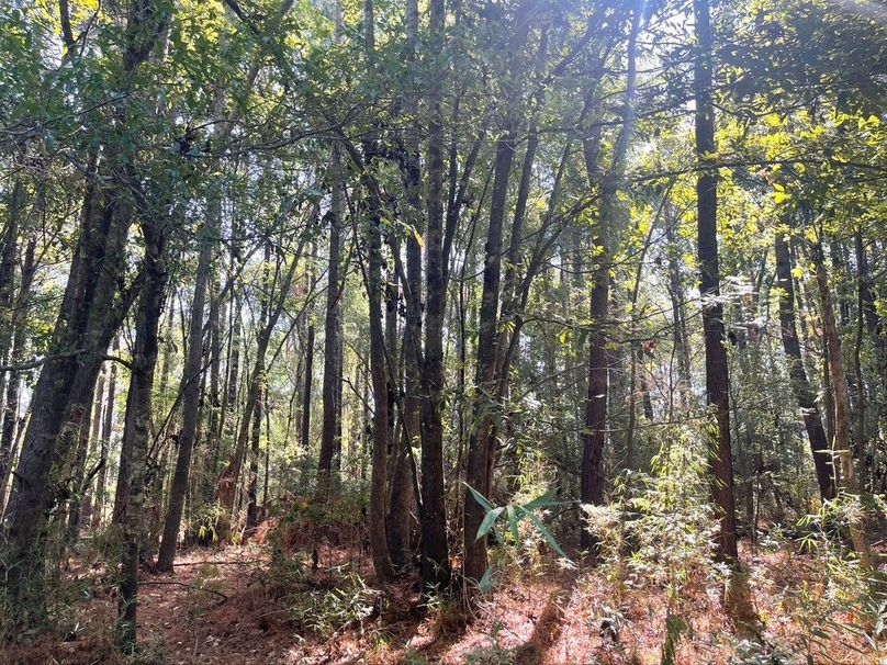 792DA4C9-4DBE-4031-A129-85C33D3C7BCE_1_105_c