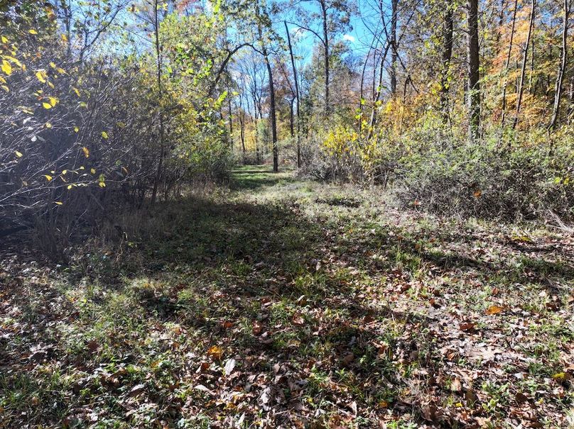 Copy of DJI_20251031134729_0800_D