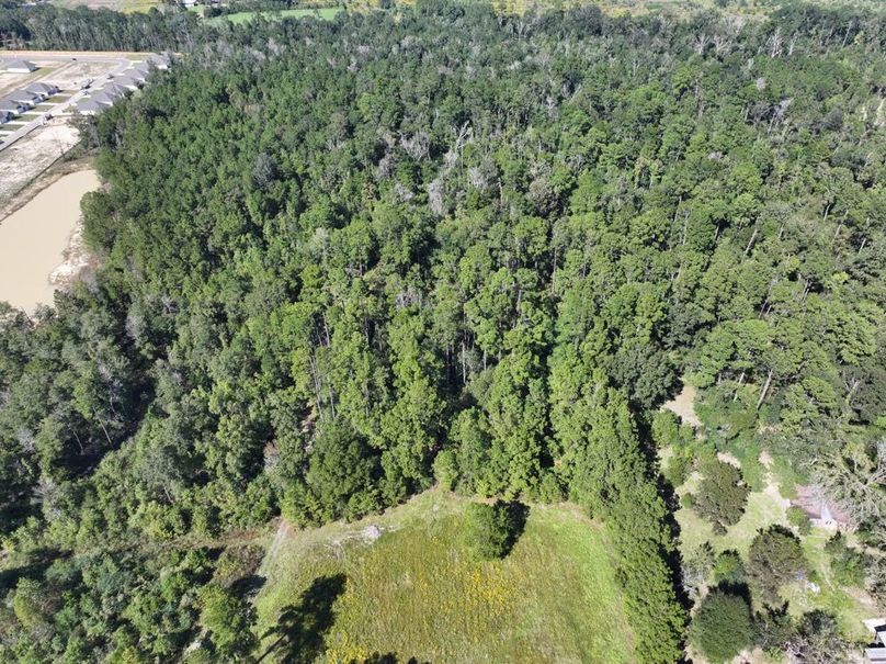 dji_fly_20251014_150220_0666_1760473196089_photo