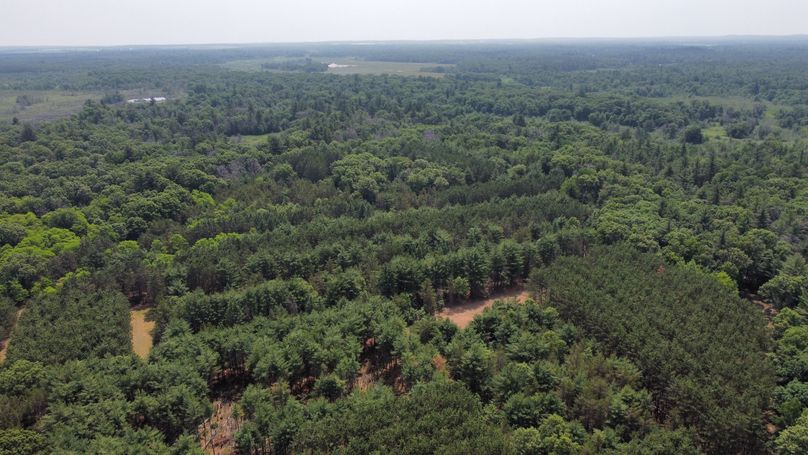 dji_fly_20230610_115244_592_1686416569010_photo_optimized