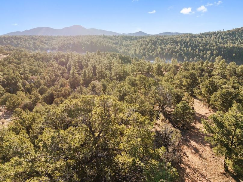 DJI_20251105080612_0008_D_1