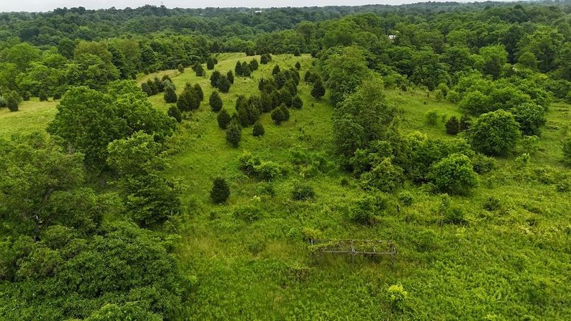 DJI_20250605125253_0606_D