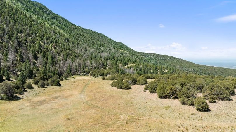 DJI_20250619123506_0291_D_1