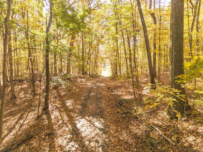 DJI_20251015102303_0056_D