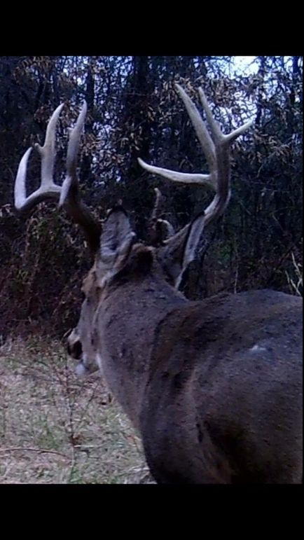 1 - 2026-01-07T104422.146