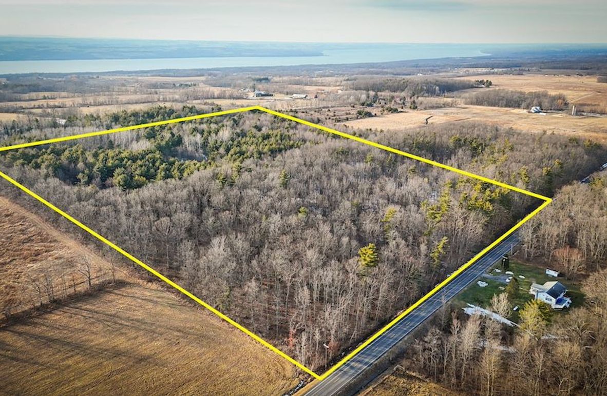 Seneca_43_Hohwald_Photos_1