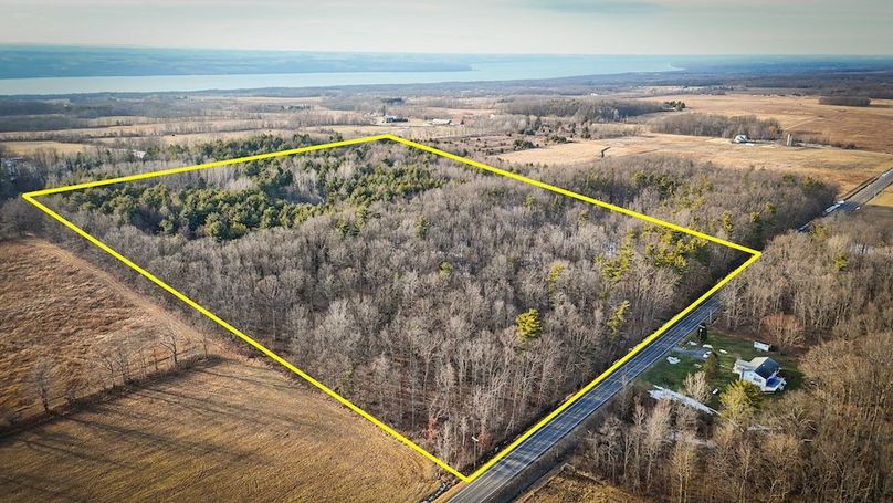 Seneca_43_Hohwald_Photos_1