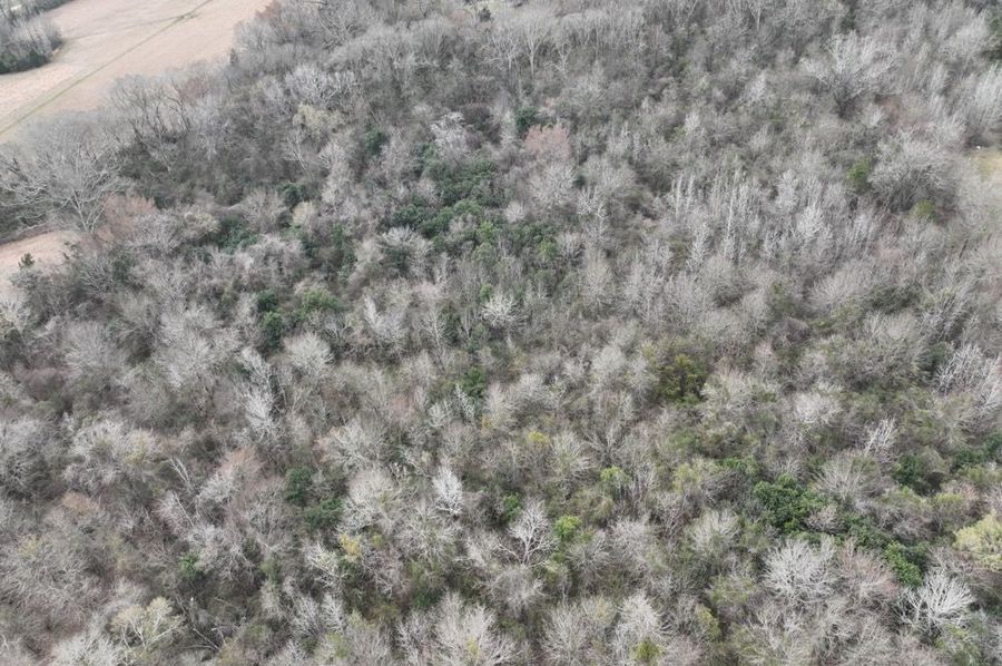DJI_0005
