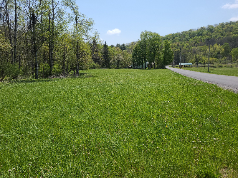 photo_c90c26d3-47ab-43b5-bae5-d20f0a6e39d6