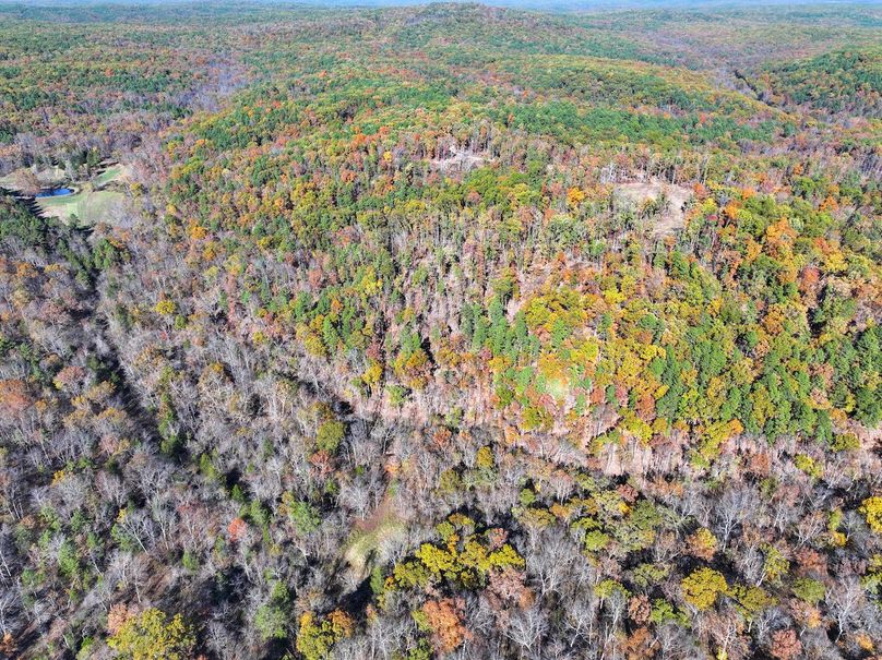 DJI_20251104130356_0839_D