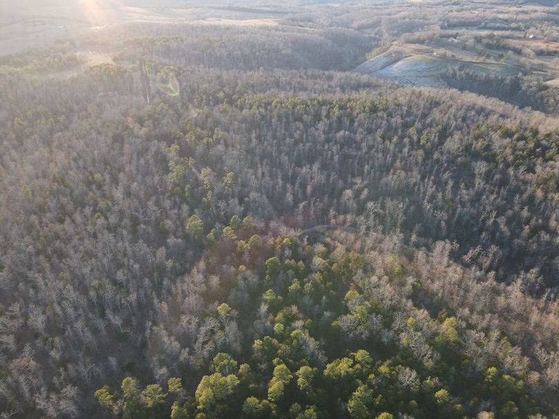 DJI_0323