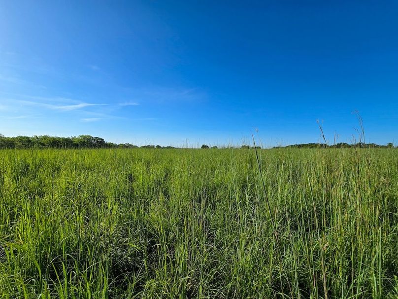 Copy of 20250729_084954