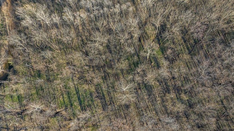 DJI_20260324174025_0021_D