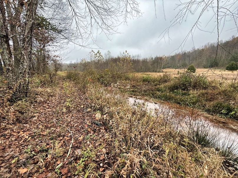 017 beautiful view in the bottom looking East in the Valley-2