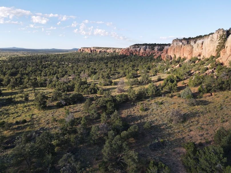 dji_fly_20240816_073826_491_1723815662962_photo