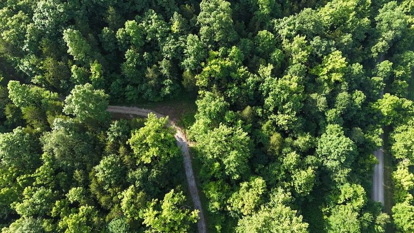 DJI_20250712095146_0768_D