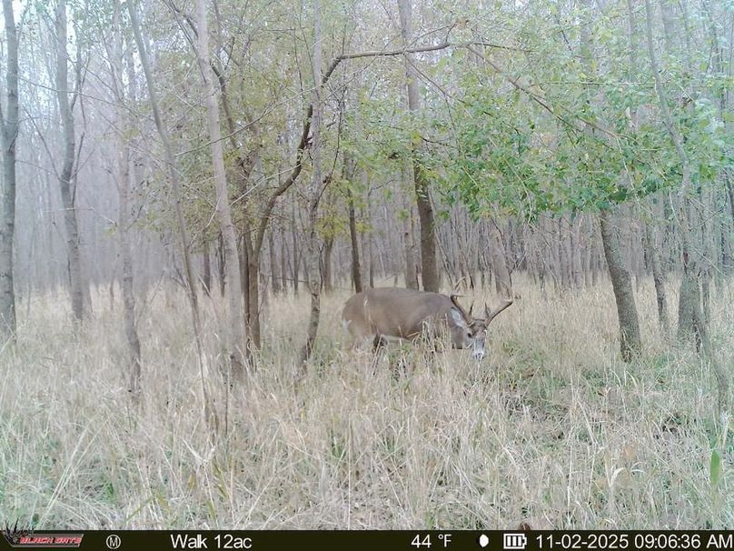 thumb-f248a2c9428bbb62167a1bed7df246bfd4fa8d5a