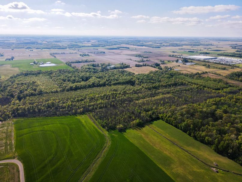 vandalia 450 (2)-3058