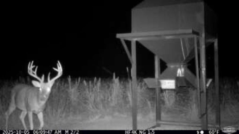 542f6a082a1c0bd1c039179df2010730-small