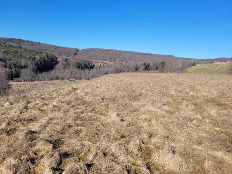 11067406-XJKSsSPRmvb2zrMc