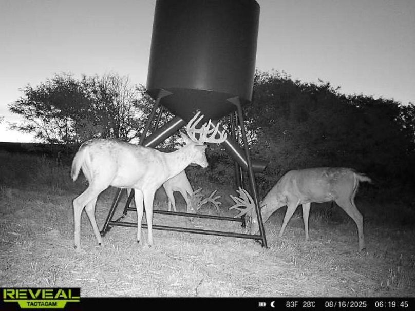 865977050266538-100-4-08162025061944-W1001814