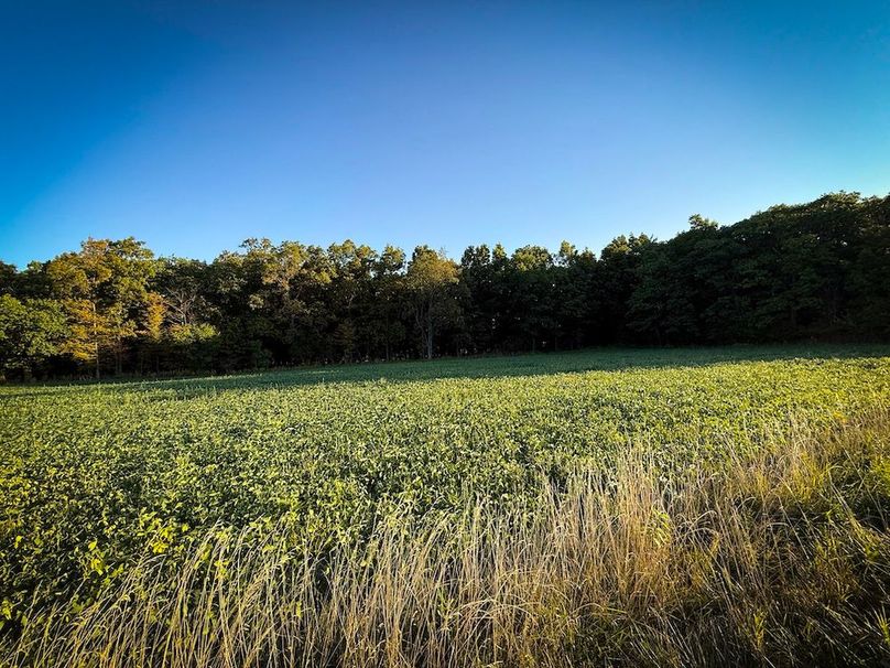 Copy of Wood Tract 4 Photo 8