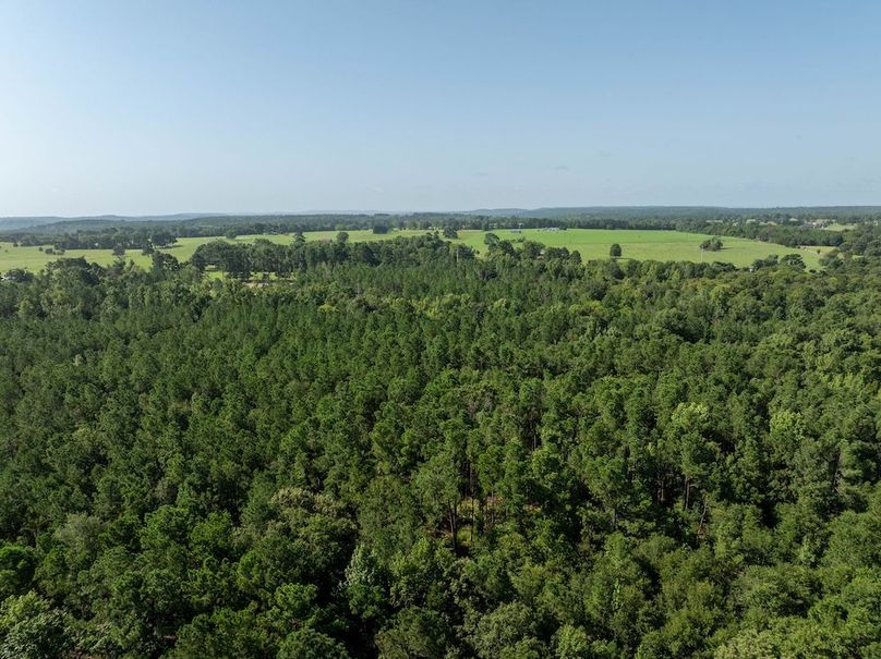 DJI_20240717050315_0151_D-HDR