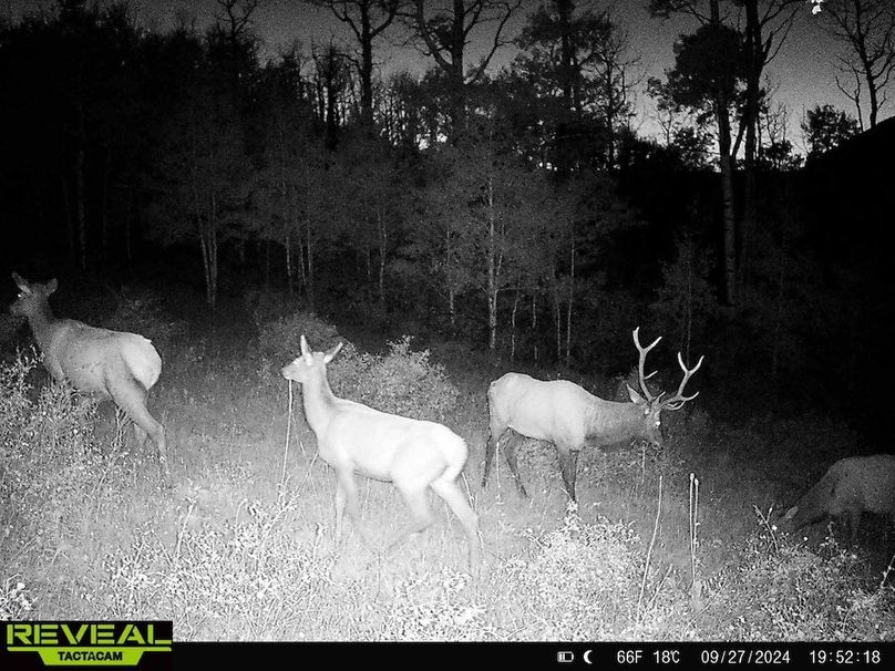 Copy of 864049052055672-20-4-09272024195218-HD-W1001262 (1)