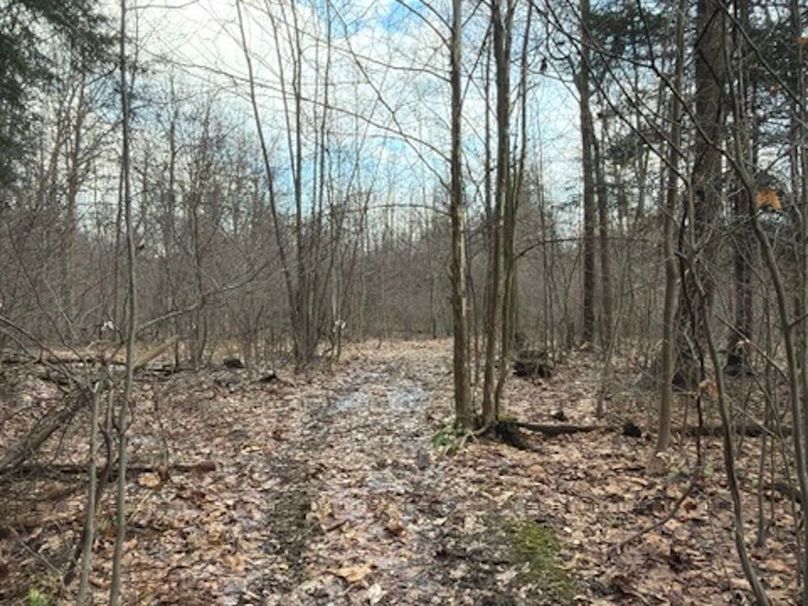 278E984C-BCA4-4157-B8C3-A71C7DB522E0_4_5005_c