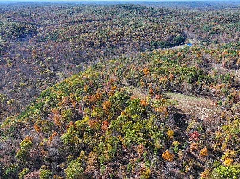 DJI_20251104130144_0834_D