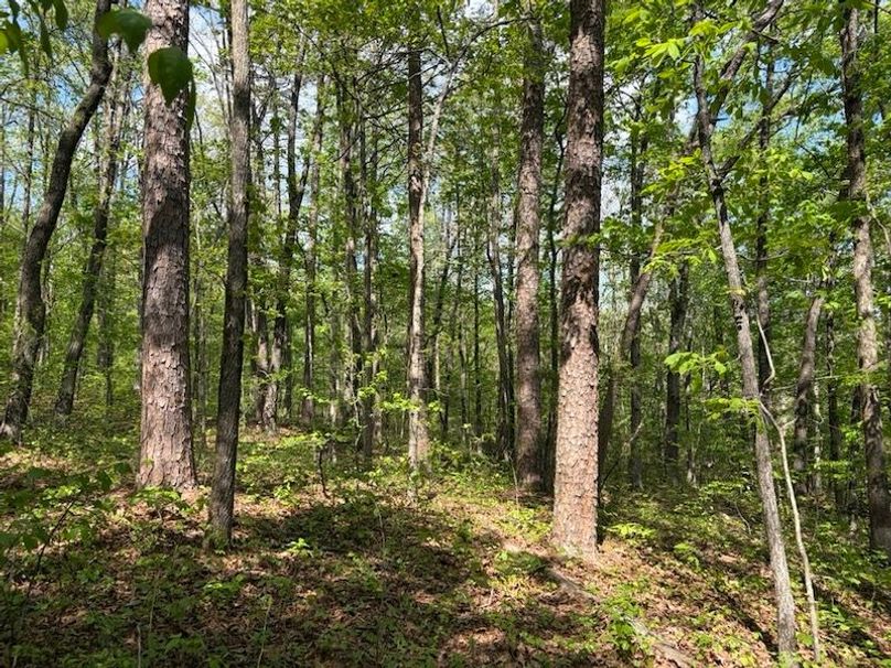 88AD8446-E786-42AE-8FE4-FF8EC925DF70_1_105_c