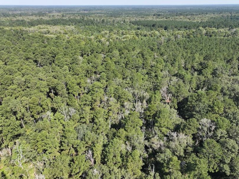 dji_fly_20250826_104100_0371_1756227538468_photo