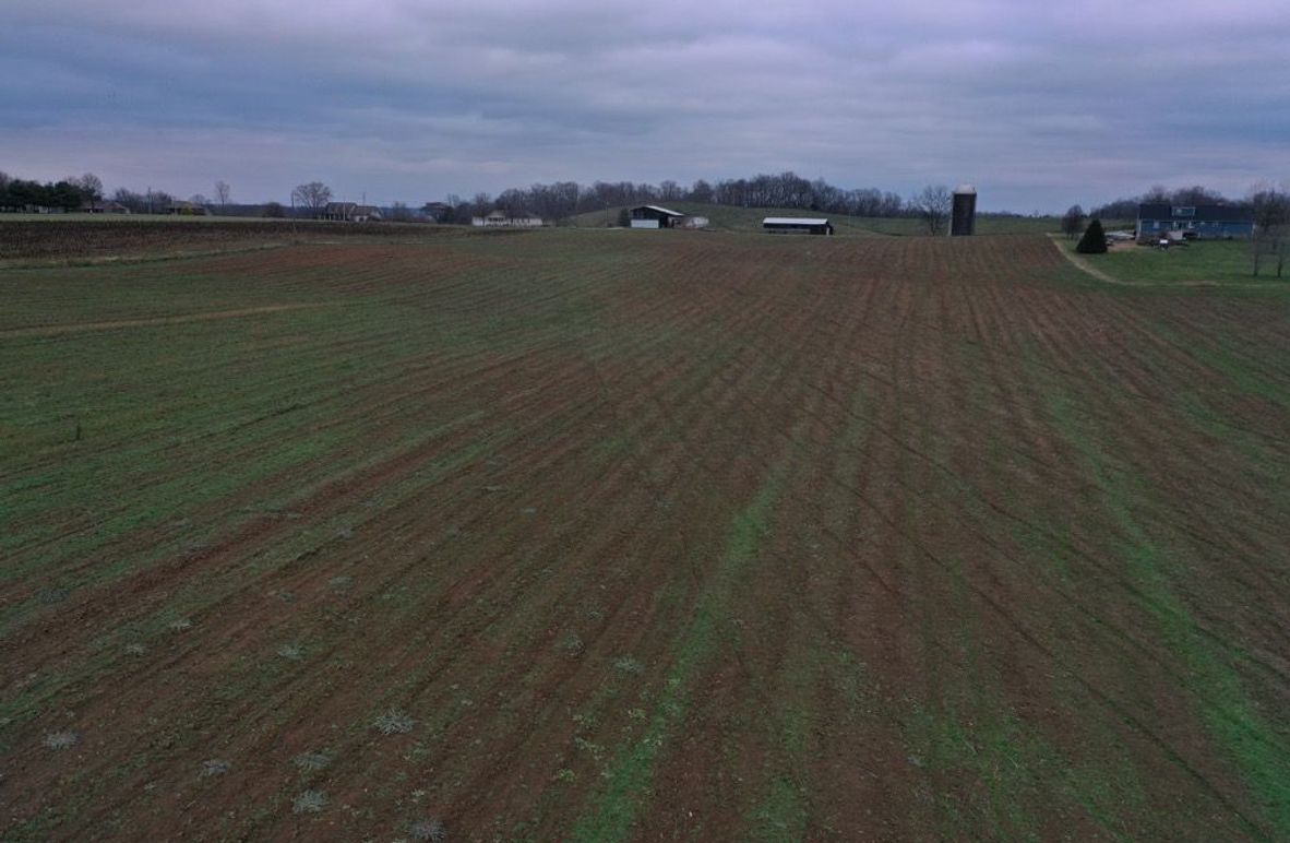 002 ground level view from the east boundary along Tuggle Road