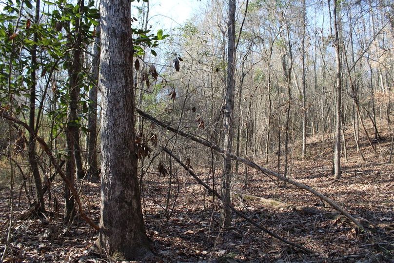 40D1A99C-0B0A-419E-ABD9-C41D5FB59F4F_1_105_c