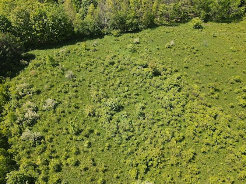 DJI_0426