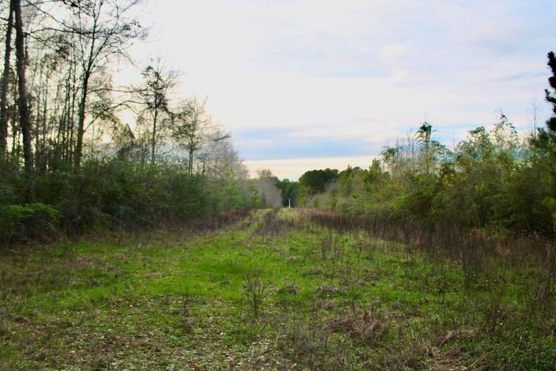 C6E6C1EF-1599-41A2-95A2-27CE552759F2_1_105_c