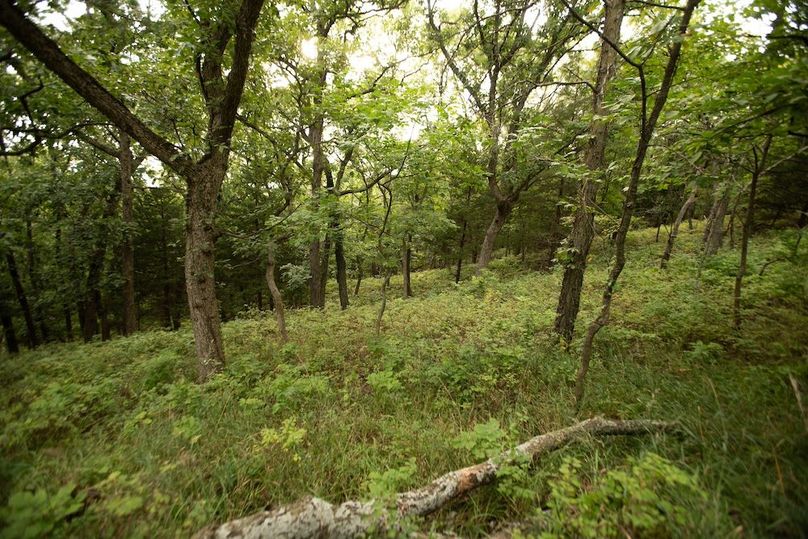 FREMONT CO IA 159.05_70
