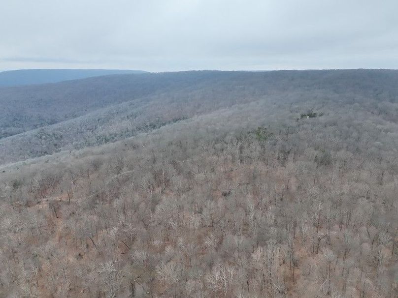 DJI_20260218111524_0003_V