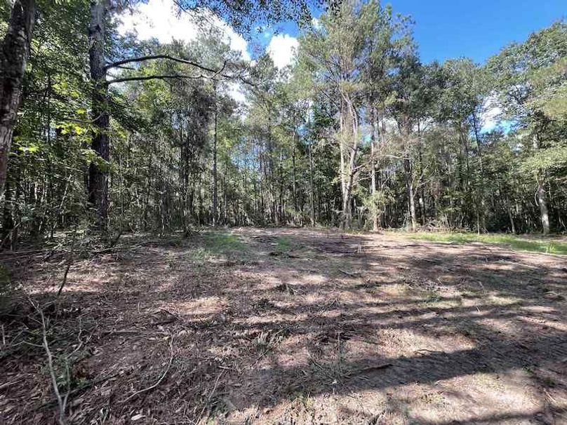 att.nDWjKrb1FDg9EUk5cwTL6fpRZl-otCqOqjf-u05HZ7I