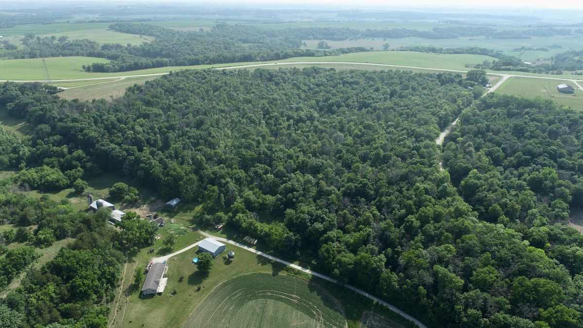 All Timbered Buildable Property Near Lanesboro Whitetail Properties